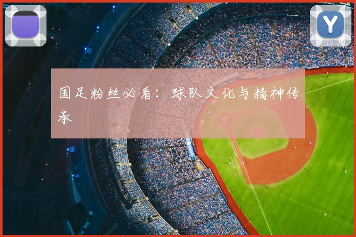 国足粉丝必看:球队文化与精神传承